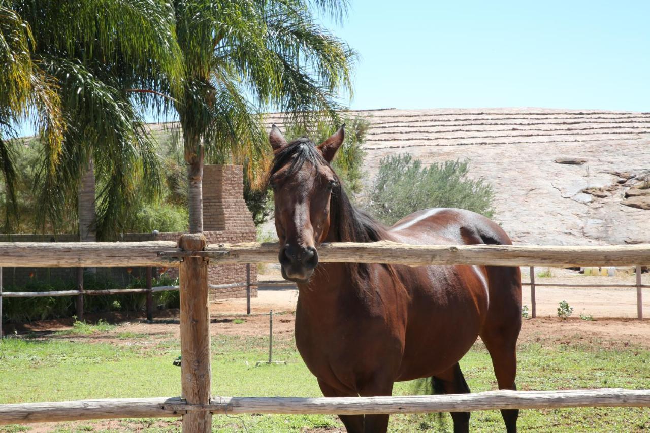 Augrabies De Oude Stoor Guesthouse Esterno foto